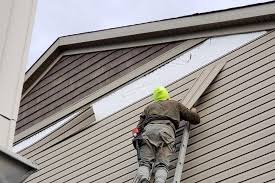 Best Siding Painting and Refinishing  in Milwaukee, WI